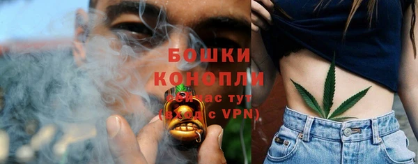 прущая мука Инта