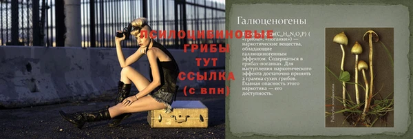 индика Иннополис
