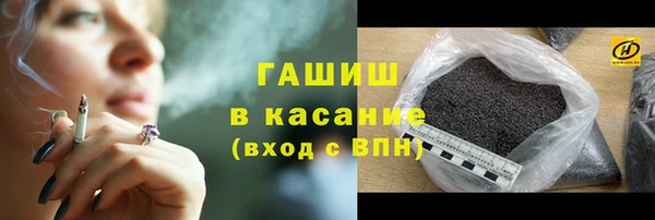 индика Иннополис