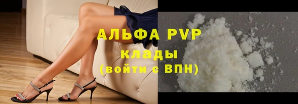 индика Иннополис