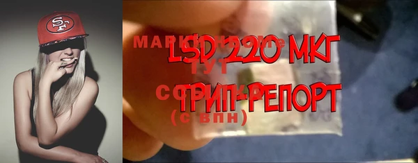 гашик Инсар