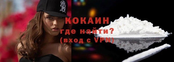 гашик Инсар