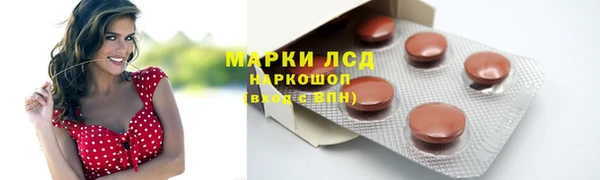 гашик Инсар
