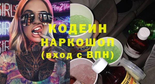 гашик Инсар