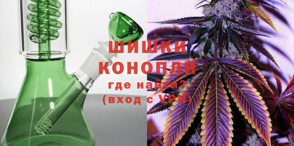 индика Иннополис