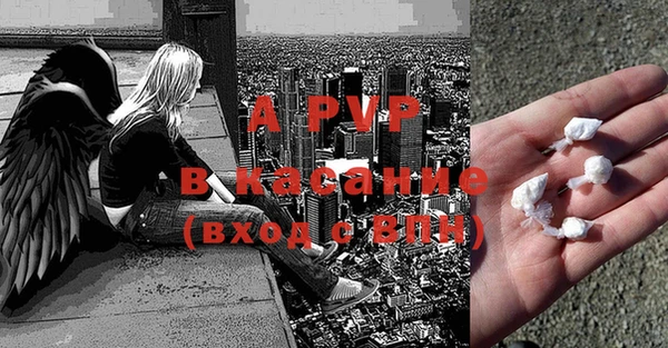 индика Иннополис