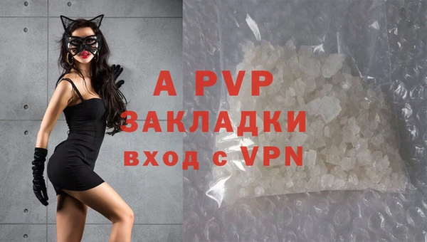 индика Иннополис
