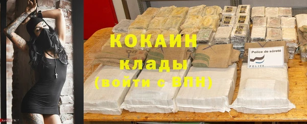 прущая мука Инта