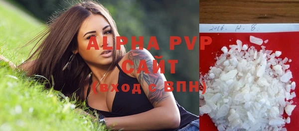 индика Иннополис