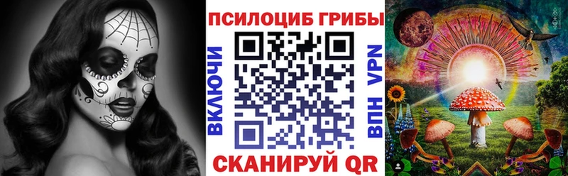 купить наркотики цена  Юхнов  Галлюциногенные грибы мицелий 